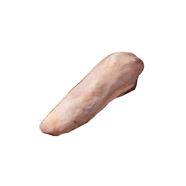 Tongue