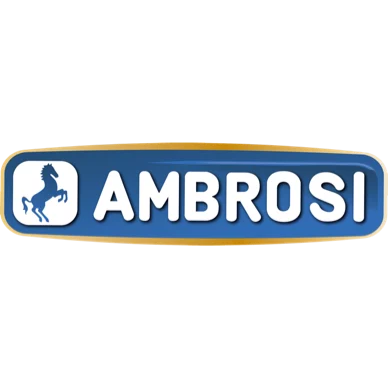 Ambrosi - Italian - Grana Padano Cheese. Aged 18 Months (Frozen) [ End Of Summer Promotion ]