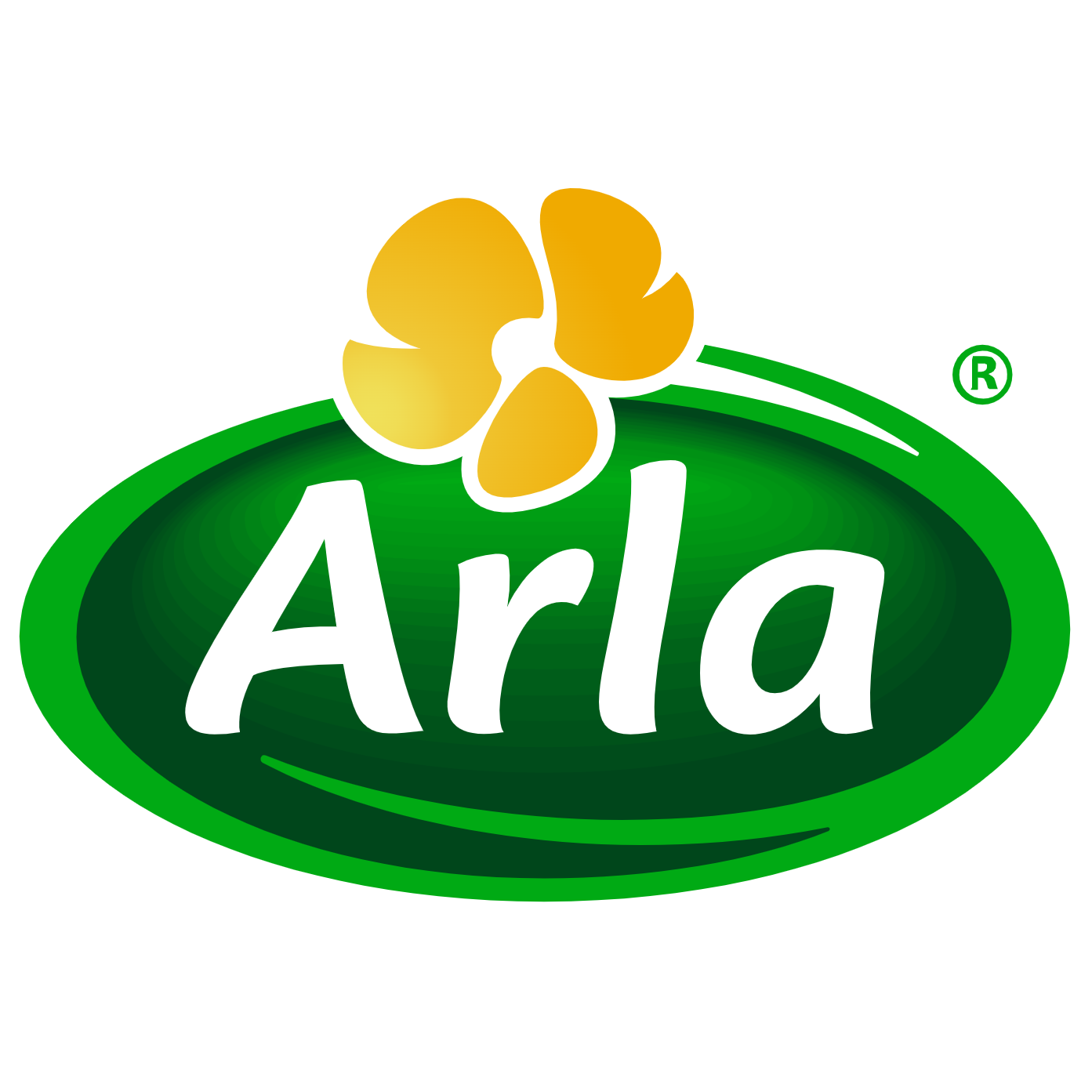 ARLA - Australian - Havarti Cheese.