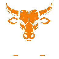 Bangkok Beef