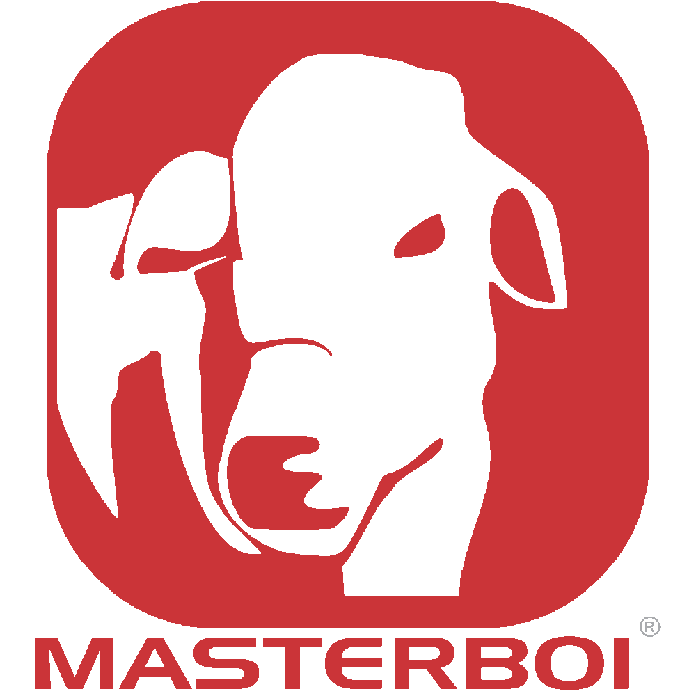MASTERBOI.png